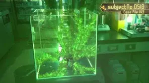 The Secret of Helheim Forest