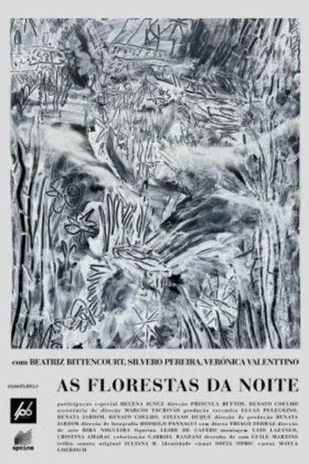 As Florestas da Noite
