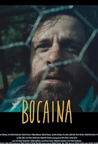 Bocaína