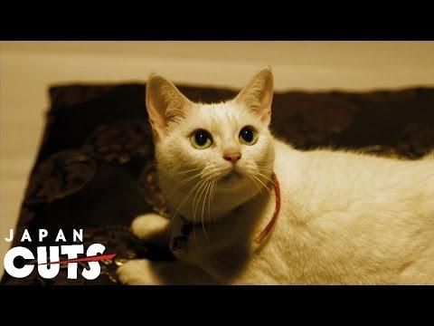 "Neko Samurai ~Samurai ♥ Cat~" trailer (English subtitles) JAPAN CUTS 2014