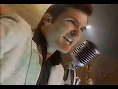 Shake, Rattle and Roll:An American Love Story 1999